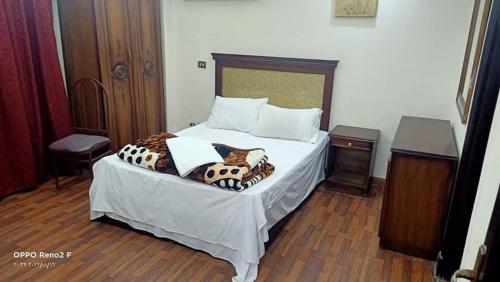 فندق جاردينيا بلازا- gardinia plaza in Tanta