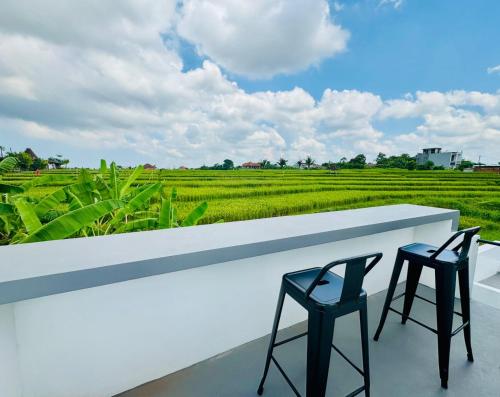 New Villa 2 Bedroom in Canggu