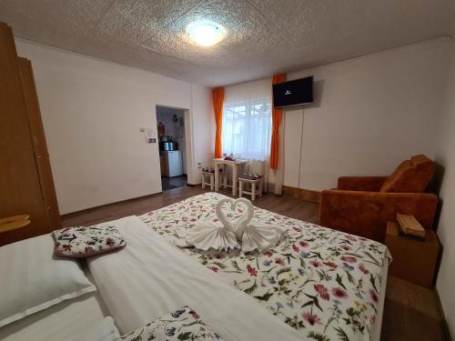 Casa Farcaș Bușteni