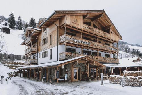 Appartements Liebe Heimat - Hôtel - Saalbach-Hinterglemm