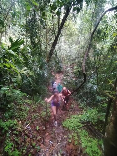 La Ceiba Biolgical Reserve - image 5