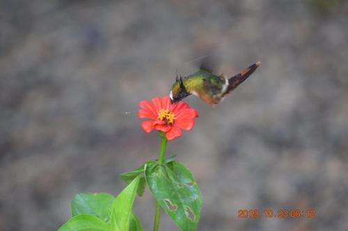 La Ceiba Biolgical Reserve - image 4