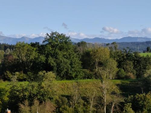 Ferienwohnung, Wangen im Allgäu