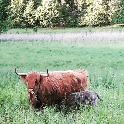 Palac Kursko Agroturystik in Chycina