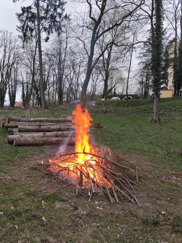 Palac Kursko Agroturystik in Chycina