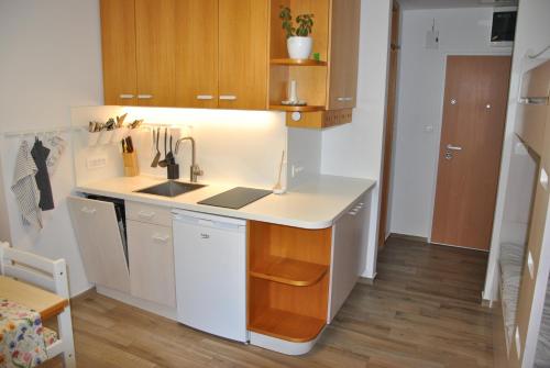 Studio Korra in Kranjska Gora