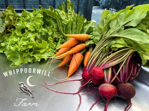 Létesítmények, Cabin on Wheels • Cozy Forest and Farm Retreat in Travelers Rest (SC)