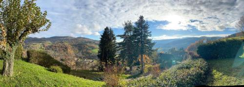 Chalet SOL LA MI in Stosswihr