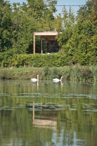 Escapade luxe avec bain nordique privatif au bord du canal in Mormant-sur-Vernisson