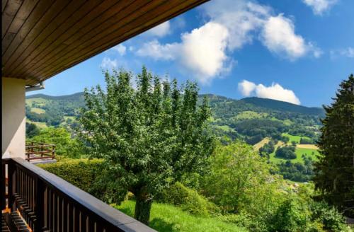 Chalet SOL LA MI in Stosswihr