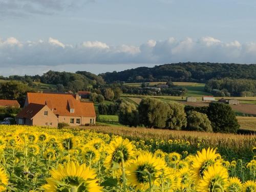 B&B De Zavelaar - Chambre d'hôtes - Heuvelland