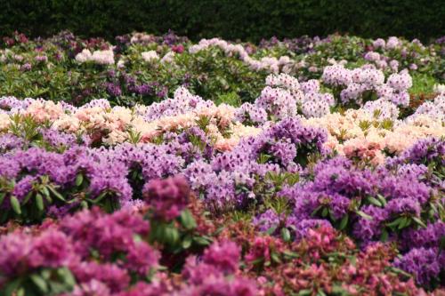 Hotel Haus Ammerland In Germany