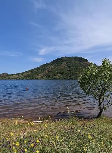 Közeli látványosságok, Gîte dans La circulade - Le Pouget (Gite dans La circulade - Le Pouget) in Gignac