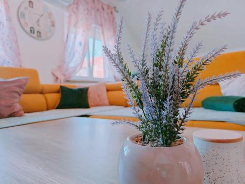 Zagreb, Apartman Jezz