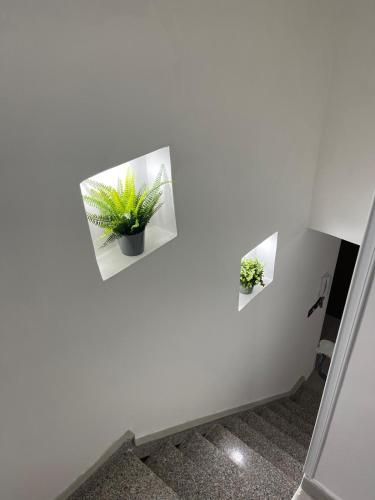 Che Casa 26!, Neapel (Foto 10)