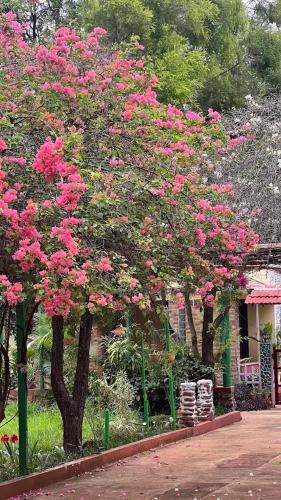 Green Leaf Nature HomeStay in Kamanadurga