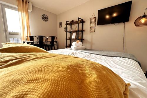 Lion - Centre-ville - MA CONCIERGERIE in Vesoul
