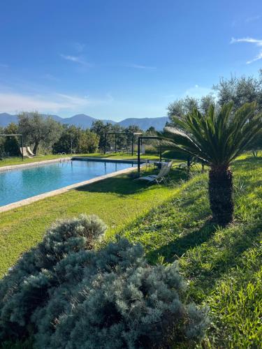 Azienda Agricola Fabbrica Di San Martino 3