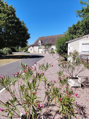 Gîte la Nobleterie - Zoo de Beauval 35 min gîte à louer Frédillé