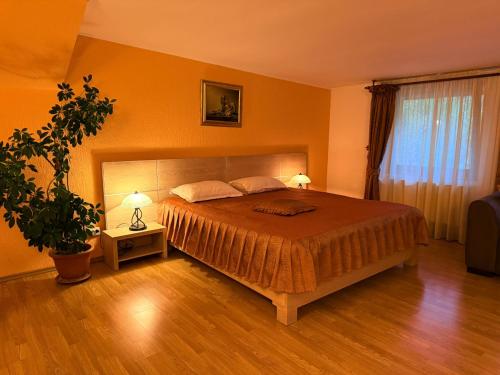 Hotel Valea Regilor Reghin