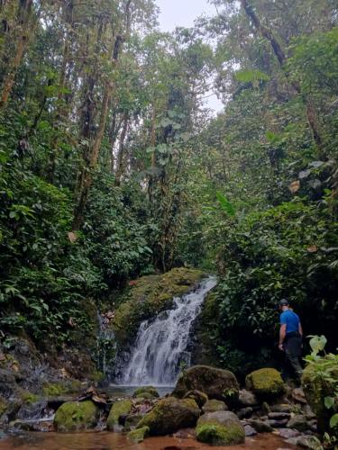 Surrounding environment, Mashpi Amagusa Lodge in San Miguel de Los Bancos