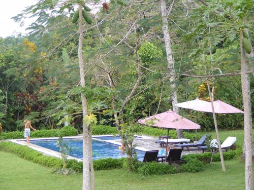 Swimming pool, Mahagiri Resort & Restaurant near Besakih Temple