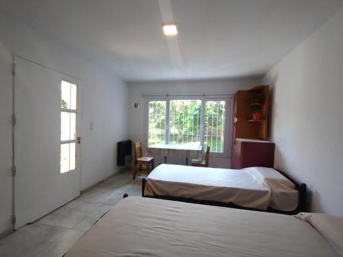 TERREdO in 네우켄