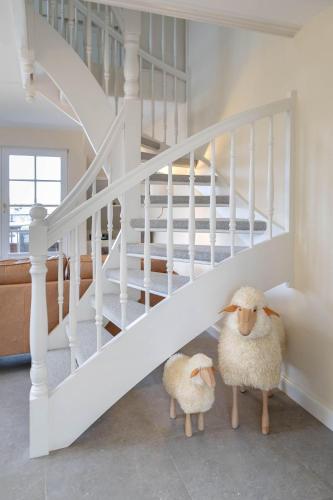 Heefwai-Wohnung-4 in Grossmorsum