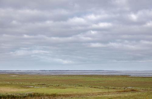 Heefwai-Wohnung-4 in Grossmorsum