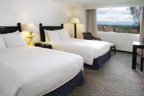 1 queen bed