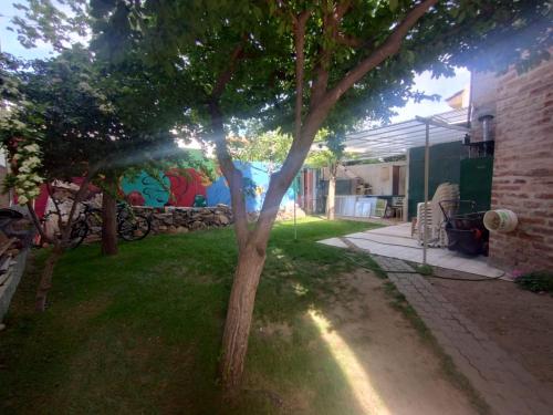 편의 시설/서비스, TERREdO in 네우켄