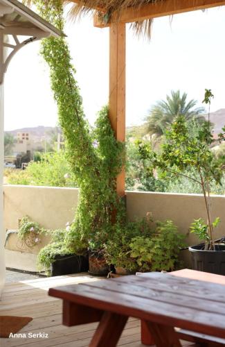 היורט על הגג - צוקים in Tsukim