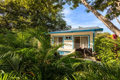 Kert, Casa Blue Monkey - Playa Conchal in Brasilito