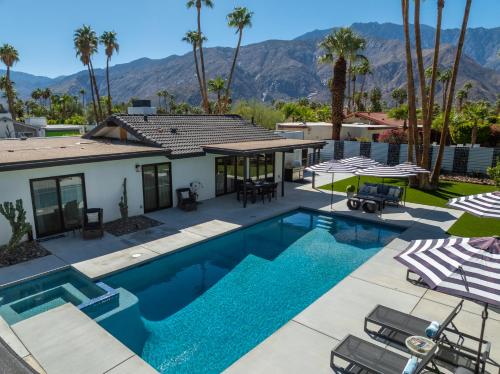Alluring Palms by ACME House Company