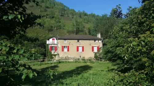 Les Cèdres Bleus de Joany