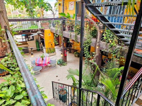 Cabo Inn in Cabo San Lucas