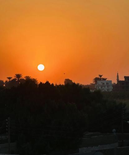 Morsy Palace - image 5