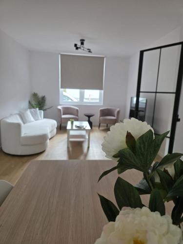 Luxurious house in Edegem close to the city center gîte à louer Waasdonk