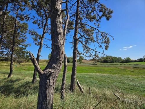 Facilities, Luxury Retreat by the Sea - By Traum Ferienwohnungen in Sonderby