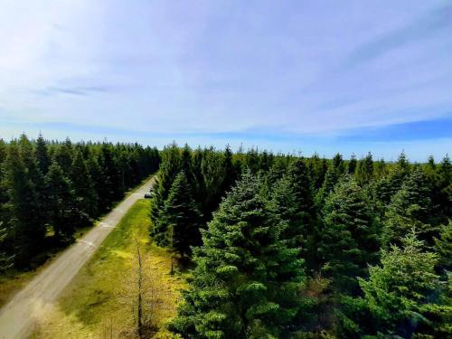 บริการและสิ่งอำนวยความสะดวก, 6 person holiday home in Hovborg-By Traum in ฮอฟเบิร์ก