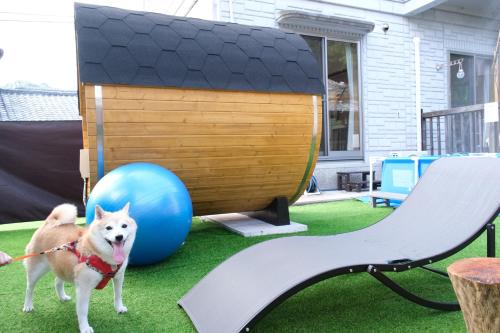 イヌサウナリゾート伊豆白浜 海と伊豆の大自然で整う愛犬リトリートヴィラ