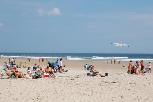 Moody Beach Camping Resort Wheelchair Accessible Park Model 15 - image 2