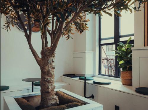 CityNest New York - image 3