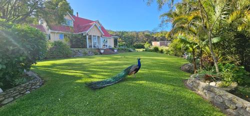 A szálláshely kívülről, Soggy Bottom Farm House, Sea views and peacocks in Arany Öböl