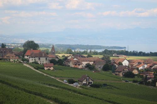Bnb Bursins - image 3