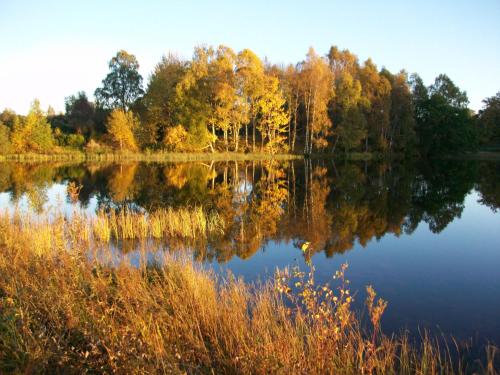 The Lodge on the Loch