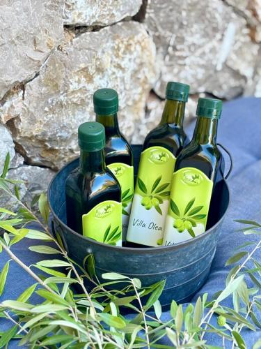 Brand New - Villa Olea Mare - Mediterranean Comfort and Style in Bogovici