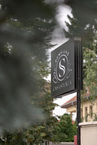 Pensiunea Casa Sturza 2