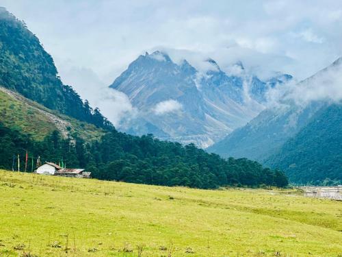 CLIFF VIEW RESIDENCY LACHUNG  in 拉衝