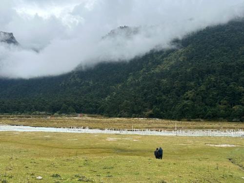 CLIFF VIEW RESIDENCY LACHUNG  in 拉衝